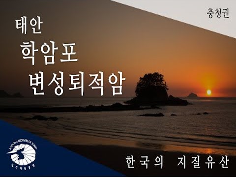 [한국의 지질유산] 태안 학암포 변성퇴적암