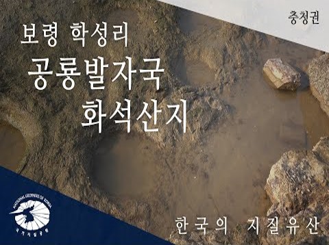 [한국의 지질유산] 보령 학성리 공룡발자국 화석산지