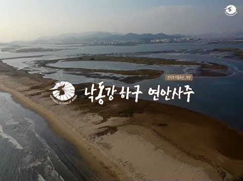 [한국의 지질유산] 부산 낙동강 하구 연안사주