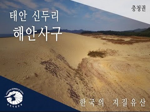 [한국의 지질유산] 태안 신두리 해안사구